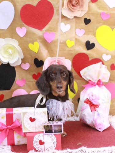 20230211ミロくん